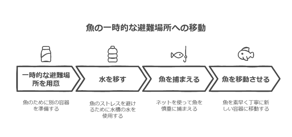 水槽掃除の手順