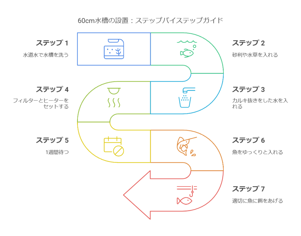 熱帯魚の飼い方の手順